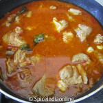 Mutton Curry 9