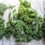Kale Chips 9