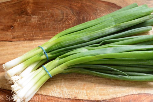 How to freeze spring onions 1