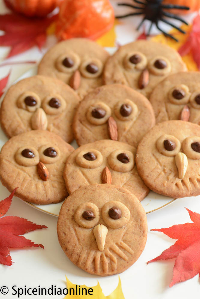 Owl Shortbread Cookies7