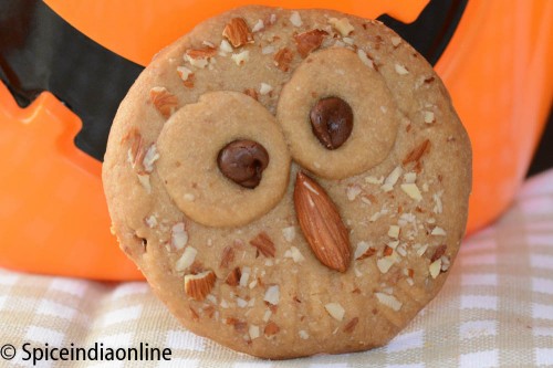 Owl Shortbread Cookies9