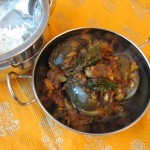 Vankaya-Vepudu-2.jpg