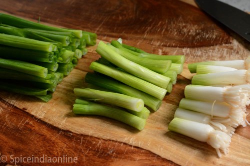 how to freeze spring onions 4