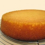 spongecake_2