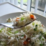 vegfriedrice