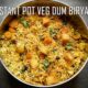 Instant Pot Vegetable Dum Biryani